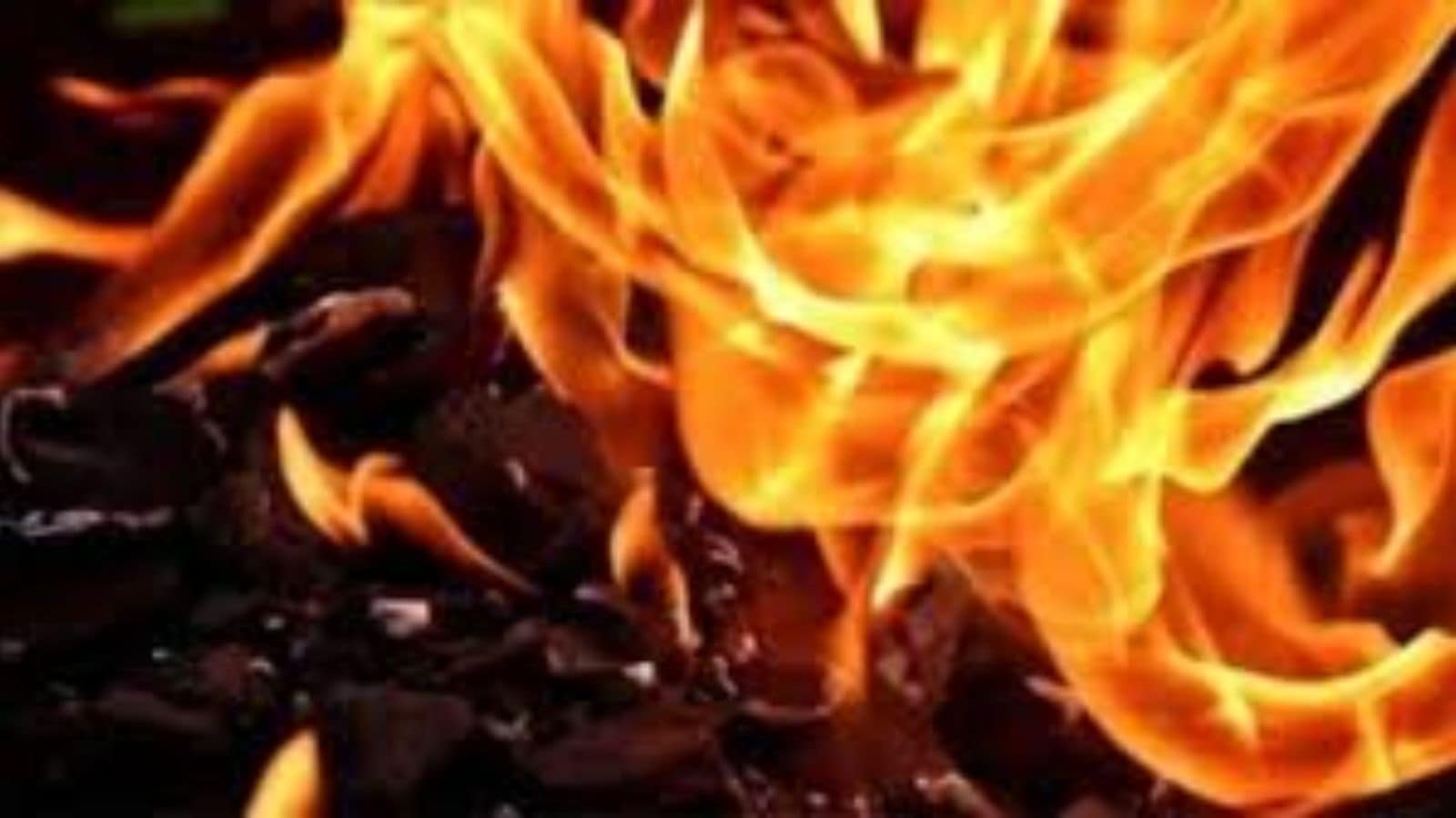 Fire breaks out at Apollo Industrial Estate in Andheri, no casualties | Mumbai News Fire breaks out at Apollo Industrial Estate in Andheri, no casualties | Mumbai News