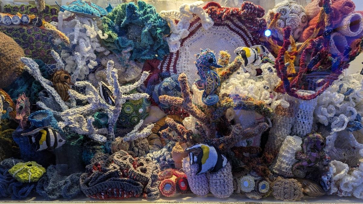 Ocean conservation takes centre stage at Alliance Française of Madras Ocean conservation takes centre stage at Alliance Française of Madras