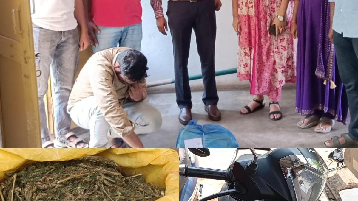 Three peddlers arrested, over 3 kg ganja seized by Excise officials Three peddlers arrested, over 3 kg ganja seized by Excise officials