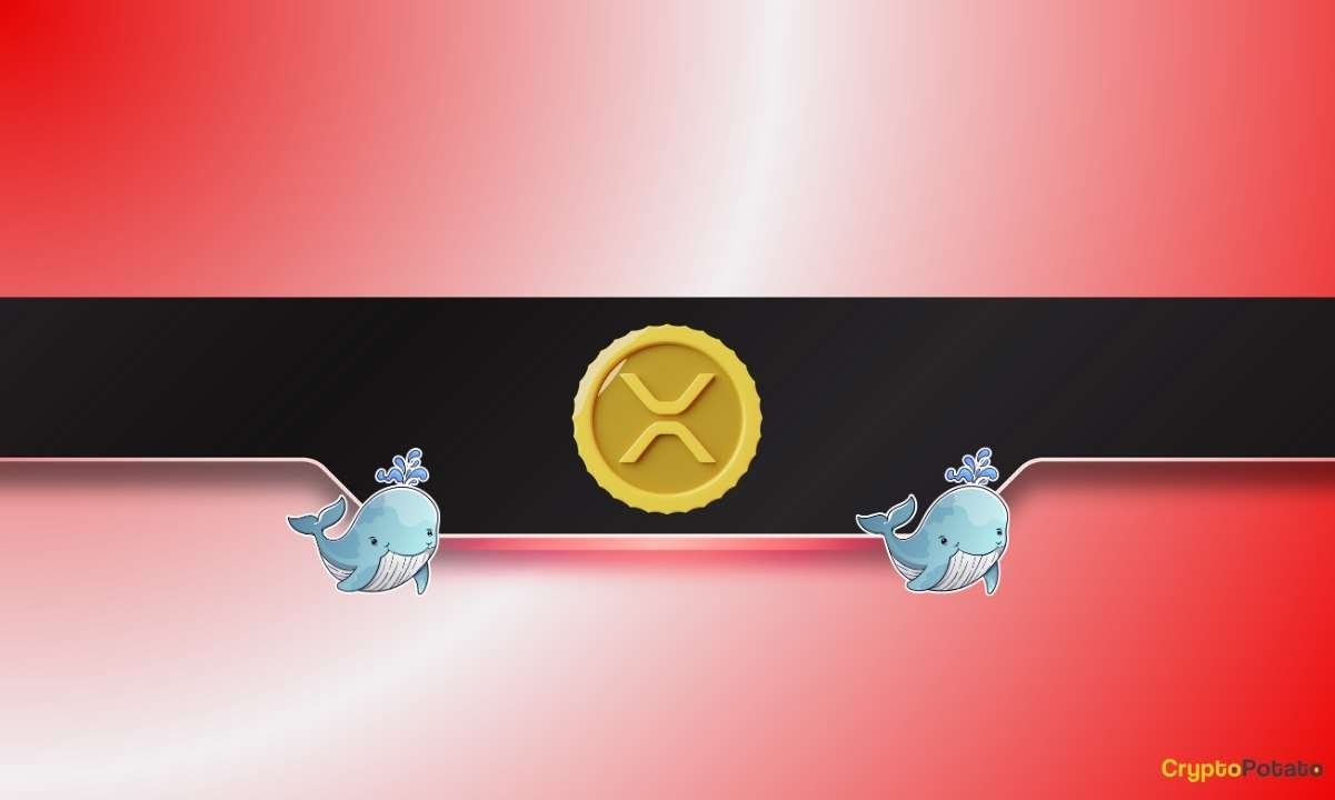 XRP Price Suddenly Drops by 5% as Ripple Whales Offload Tokens XRP Price Suddenly Drops by 5% as Ripple Whales Offload Tokens