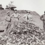 75 years of Alberta’s mission to keep rats at bay