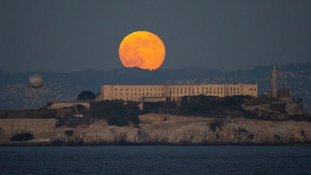 Trump says he will reopen infamous Alcatraz prison for ‘vicious’ criminals Trump says he will reopen infamous Alcatraz prison for ‘vicious’ criminals