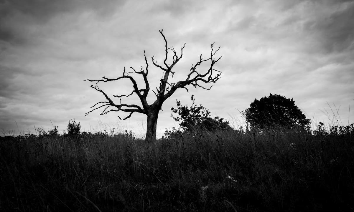Crypto Glut Turns to Graveyard as 1.8M Tokens Died in Q1 2025 Crypto Glut Turns to Graveyard as 1.8M Tokens Died in Q1 2025