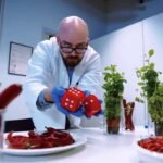 Dance Your PhD winner channels his inner Kylie Minogue to explain food science