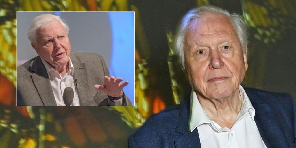 David Attenborough, 99, recalls terrifying near-death experience he faced after equipment blunder
