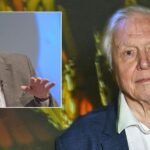 David Attenborough, 99, recalls terrifying near-death experience he faced after equipment blunder