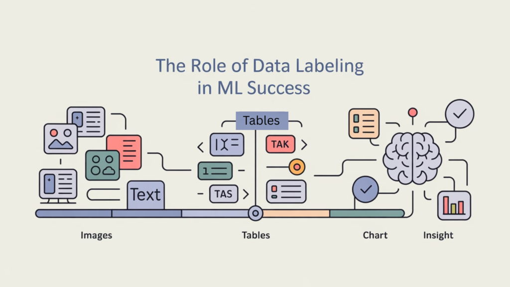 How Data Labeling Drives the Performance of Machine Learning Models?