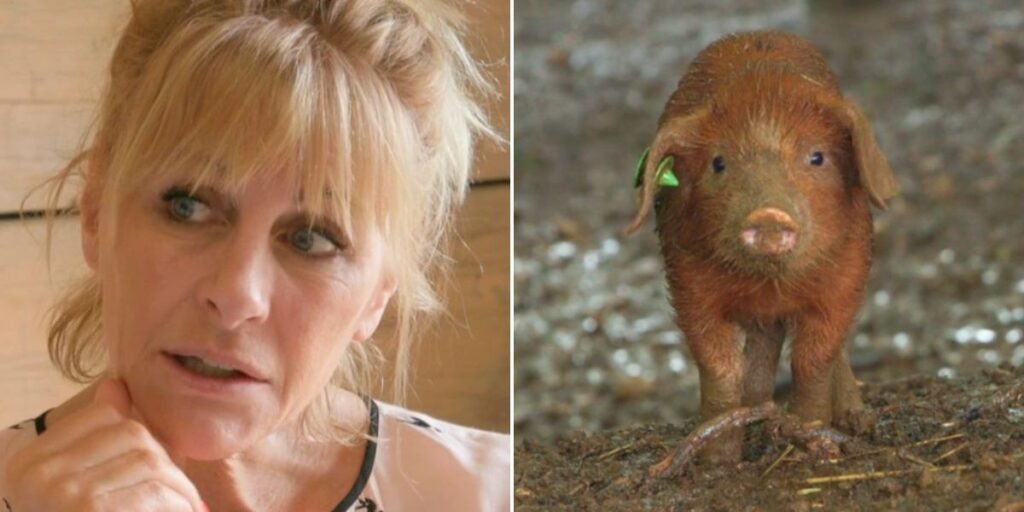 Clarkson’s Farm fans issue urgent plea as Lisa Hogan delivers huge update on Richard Ham: ‘Please DON’T!’