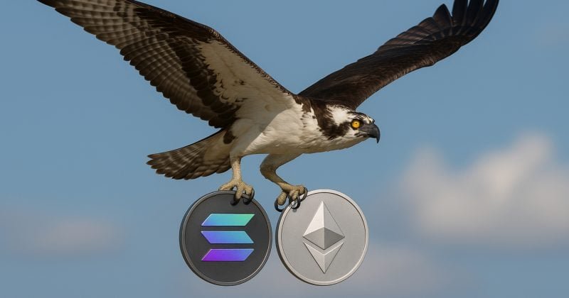 REX-Osprey Ethereum, Solana staked ETFs may launch soon as SEC raises no objections REX-Osprey Ethereum, Solana staked ETFs may launch soon as SEC raises no objections