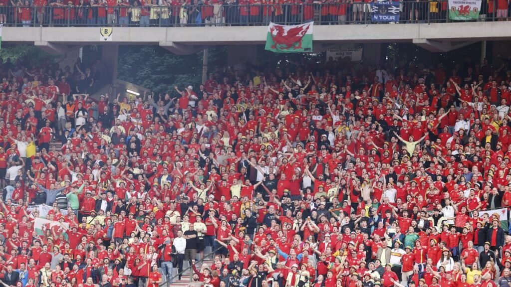 Fan taken to hospital after falling from stand during Belgium-Wales soccer match