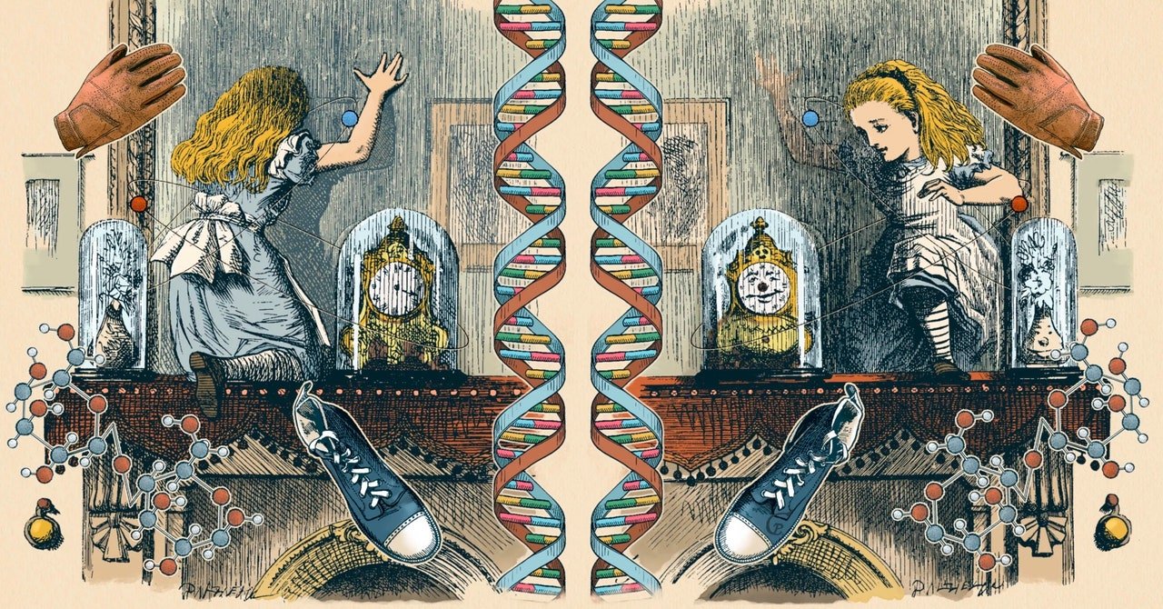 How the Universe and Its Mirrored Version Are Different How the Universe and Its Mirrored Version Are Different