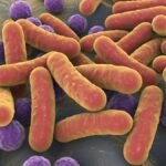 Salmonella outbreak tied to eggs sickens dozens across 7 states in US