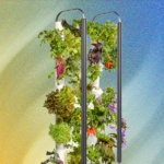 Gardyn Indoor Hydroponic Garden Review: Better Growing Through AI