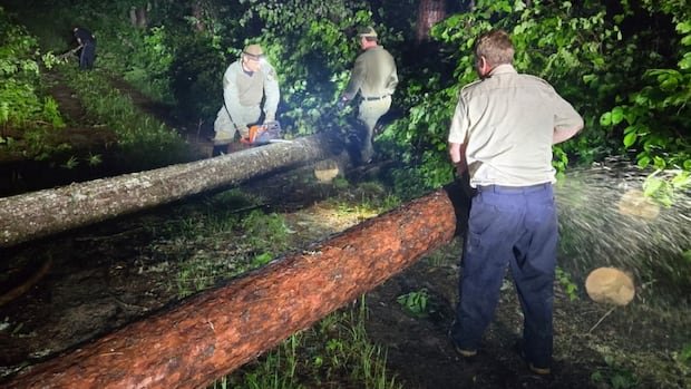 Rescuers saw, paddle their way to badly hurt boy in Algonquin Park