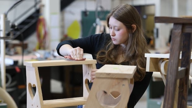 To ‘build, baby, build,’ this country is going to need a whole lot more shop teachers