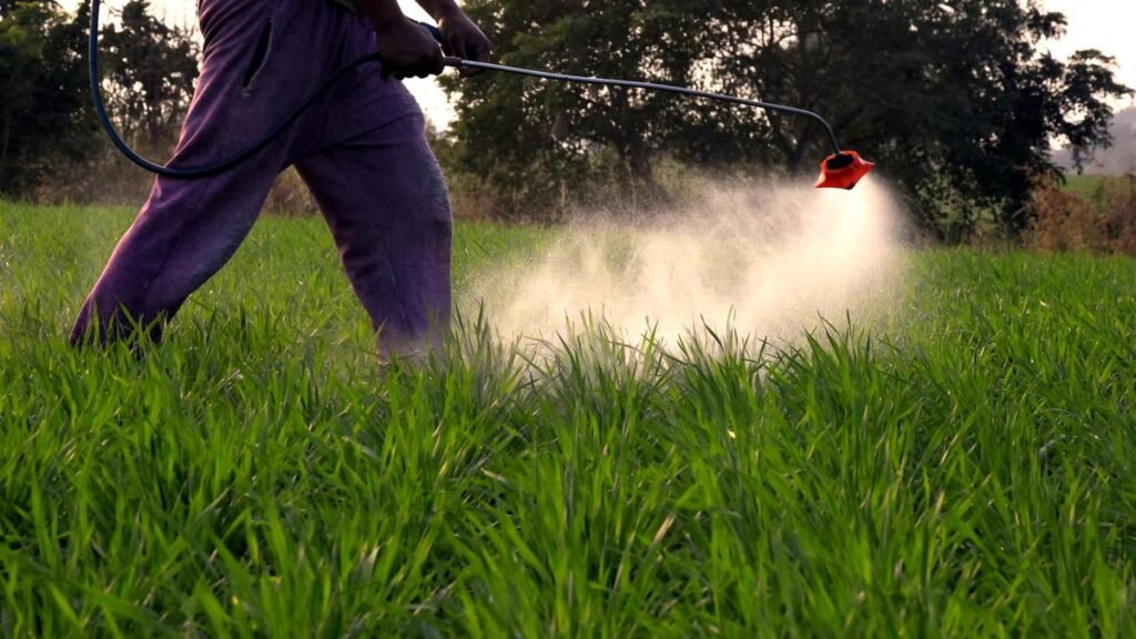 The organic imperative – The Hindu