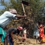 How MGNREGA is being used to stop distress migration in Maharashtra’s Nandurbar | Pune News