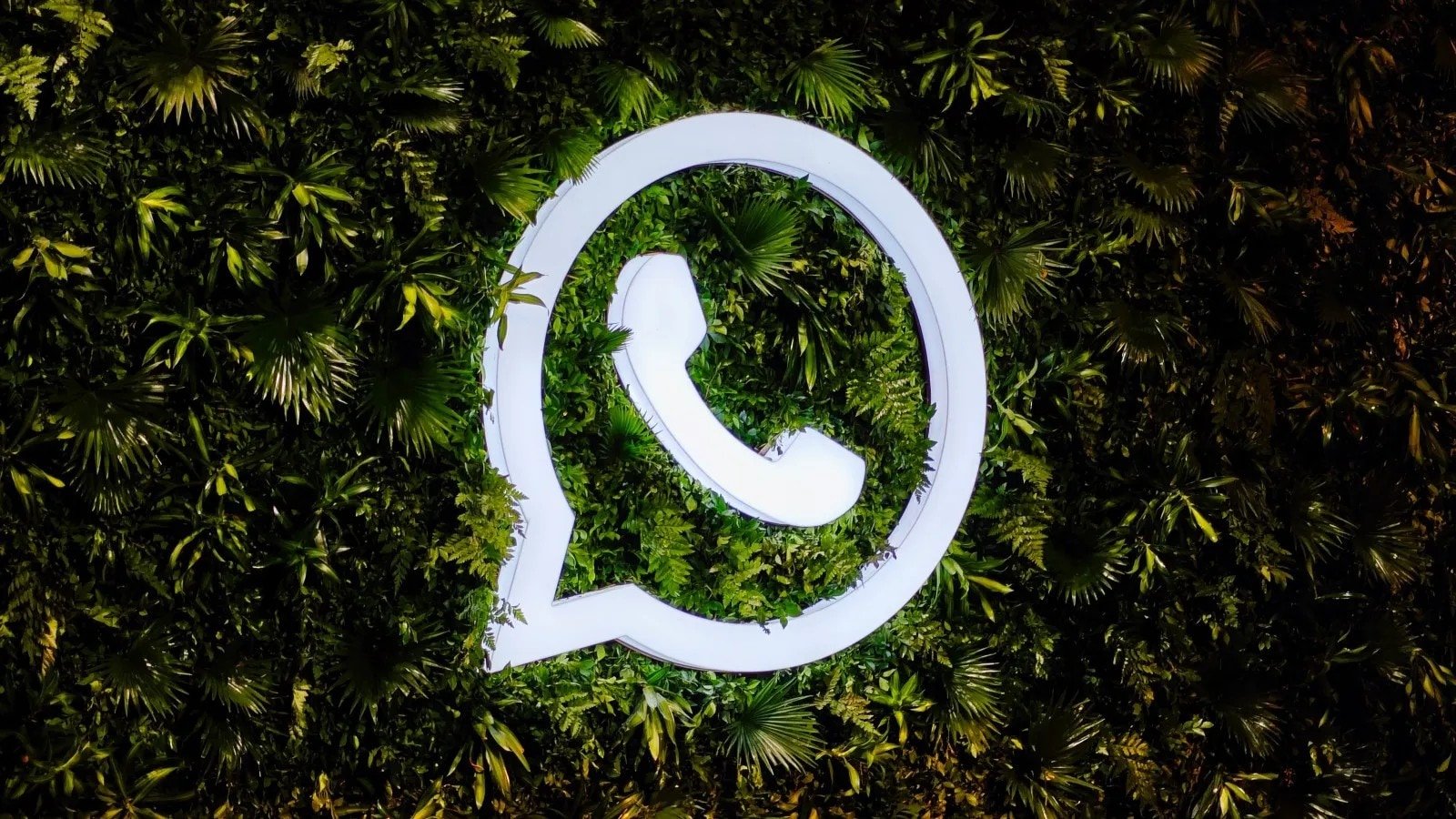 WhatsApp banned on US House of Representatives devices, memo shows | Technology News WhatsApp banned on US House of Representatives devices, memo shows | Technology News