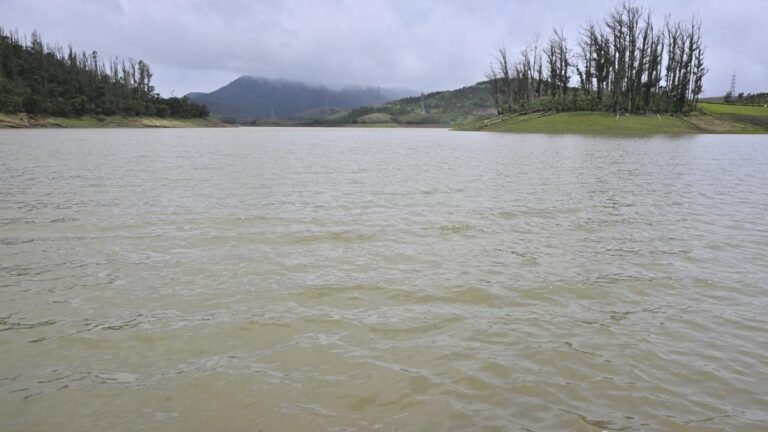 Rains lead to closure of tourist spots in Nilgiris; Avalanche dam sluice gates opened