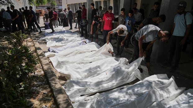 At least 73 Palestinians killed trying to access humanitarian aid, says Gaza Health Ministry