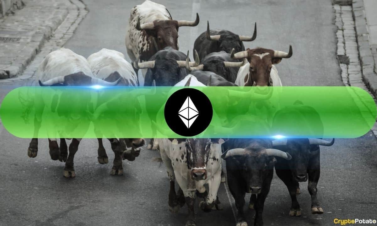 On-Chain Signals Point to a Bigger Rally Ahead