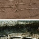 New evidence of a matrilineal society in neolithic China