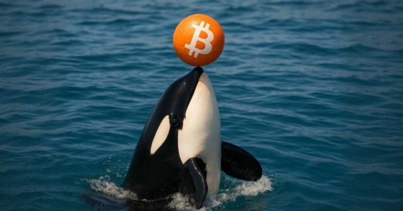 Galaxy Digital moves 7M in Bitcoin to exchanges, sparking sell-off speculation