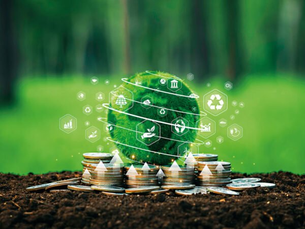 A blueprint for sustainable banking