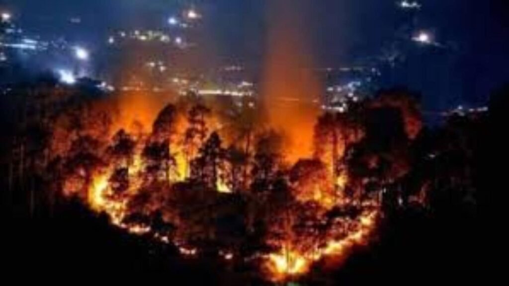 Wildfire in Albania injures three people, forces evacuation of 2,000 | World News