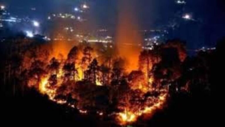 Wildfire in Albania injures three people, forces evacuation of 2,000 | World News