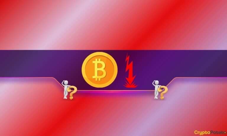 BTC Gains Near Climax? Peter Brandt Sounds the Alarm