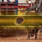 Bitcoin Claims 83% of Weekly Crypto Inflows As Digital Asset Funds Extend Positive Streak to 11 Weeks