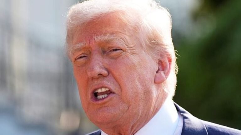 Trump says US and EU have ‘good chance’ of reaching trade deal | World News