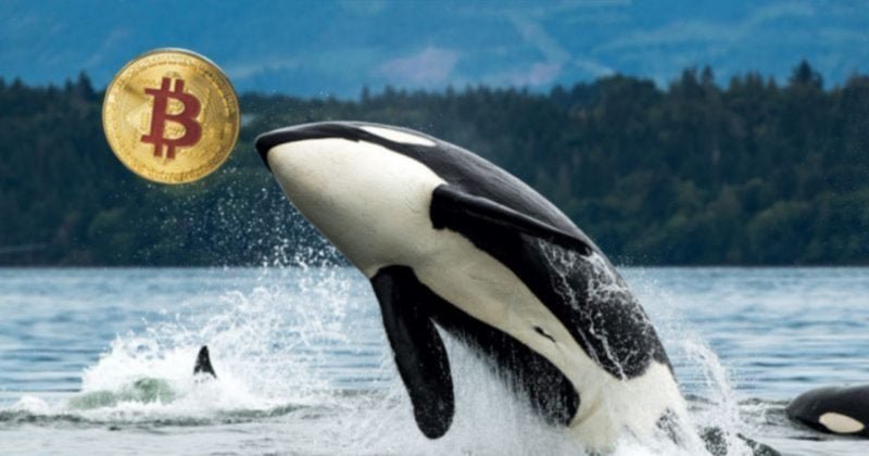 Galaxy Digital sends over 10,000 Bitcoin from Satoshi-era stash to exchanges Galaxy Digital sends over 10,000 Bitcoin from Satoshi-era stash to exchanges