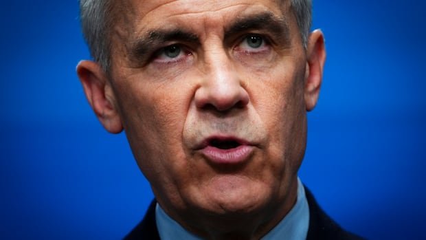 Carney says a U.S. trade deal without some tariffs is unlikely