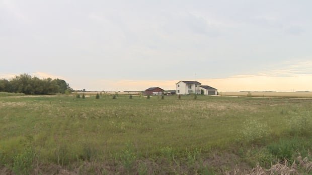 Pilot of small privately registered plane dead after crash in southern Manitoba field