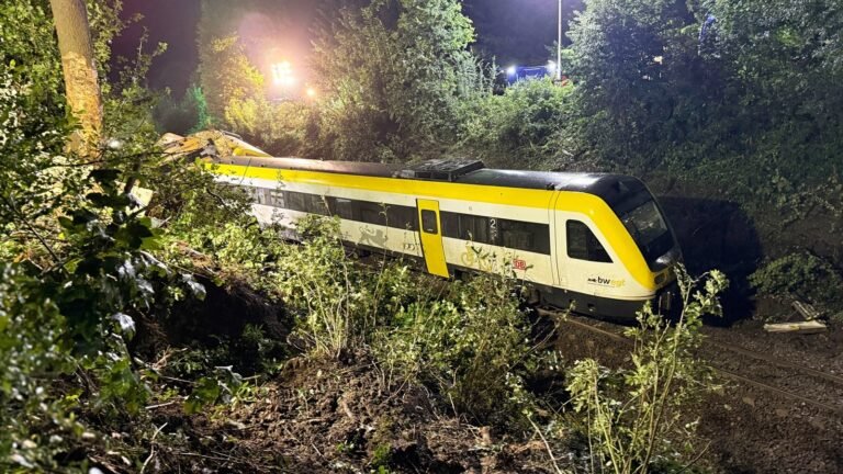 At least 3 killed, several injured after passenger train derails in southern Germany | World News
