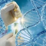 Sinhalese migrated from South India, mixed heavily with Adivasi post-migration, genome study finds