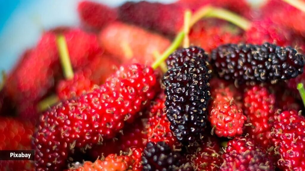 What your anti-inflammation diet should look like