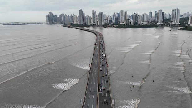 Tsunamis: What are they and how do they happen?