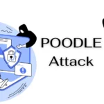 POODLE Attack: Exploiting SSL/TLS Protocol Vulnerability