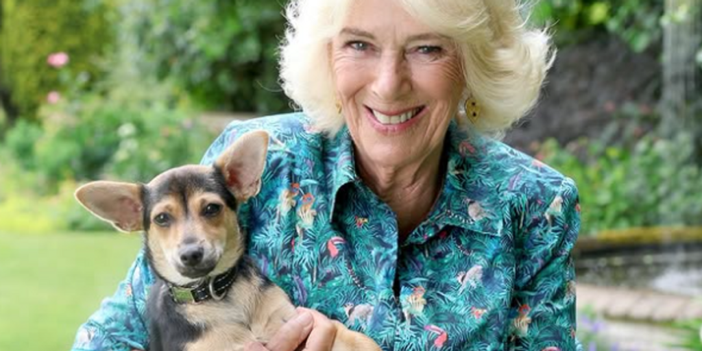 Queen Camilla shares unseen picture of new family member as royal issues important advice Queen Camilla shares unseen picture of new family member as royal issues important advice