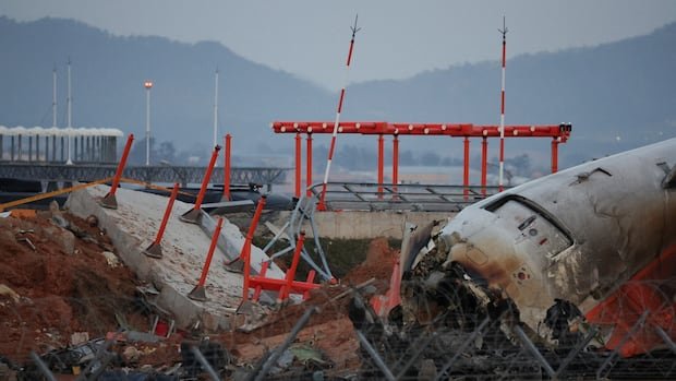 South Korean pilot may have shut off less-damaged engine in crash that killed 179 people