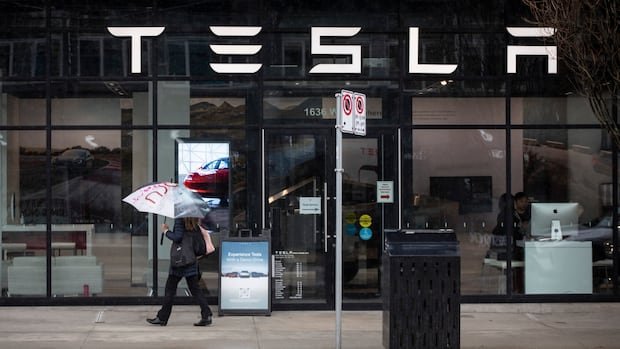 Tesla in court as rare trial against Musk’s company starts in Florida Tesla in court as rare trial against Musk’s company starts in Florida