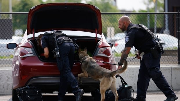 Fentanyl seizures are up at the U.S. northern border — but Canada is still a very small player