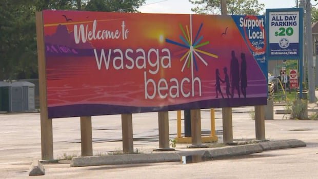 Proposed Wasaga Beach sale could set ‘awful precedent,’ environmentalists say