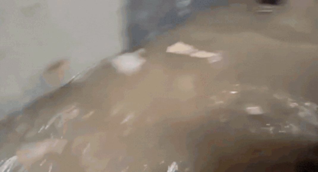 Watch: Ghaziabad hostel flooded as heavy rain swamps corridors – students struggle to gather belongings | India News