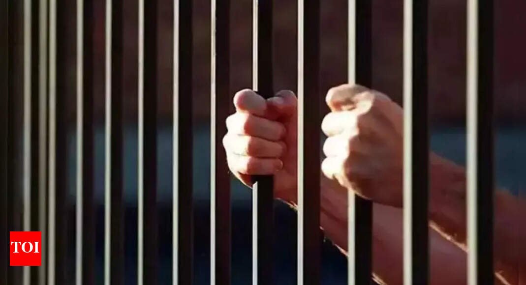 Farmer crossed over to Pak by mistake, jailed | Chandigarh News