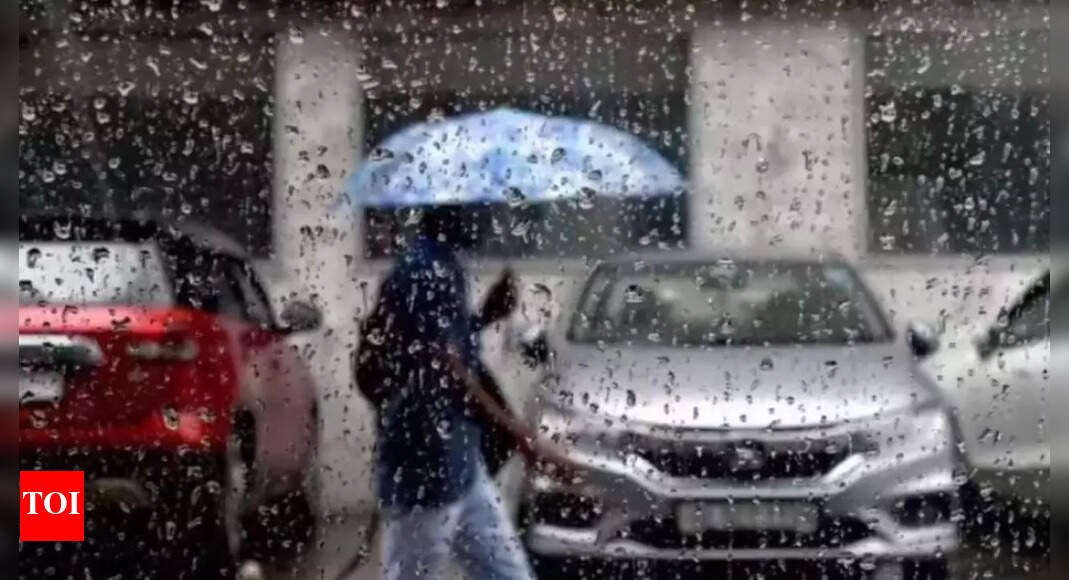 Monsoon lull phase in Maharashtra, revival likely around Independence Day | Pune News