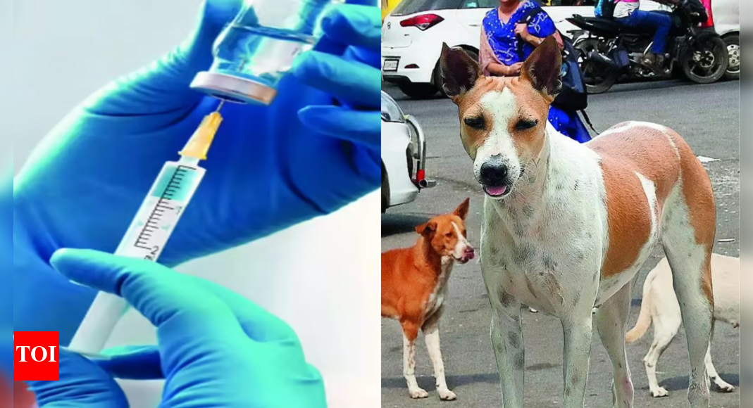 Lab-grown rabies antibodies show promise as safe alternative | India News